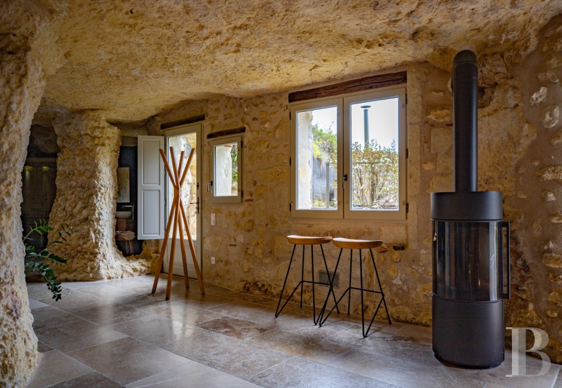 A château and its hamlet on the edge of a forest in the heights of a village near Amboise, In Indre-et-Loire - photo  n°42